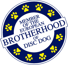 Qué es el Disc Dog (o Dog Frisbee) - Thorcanes